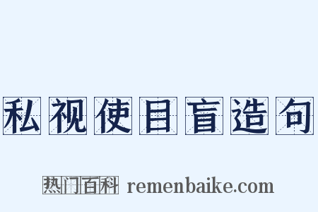 私视使目盲造句是什么意思的图片